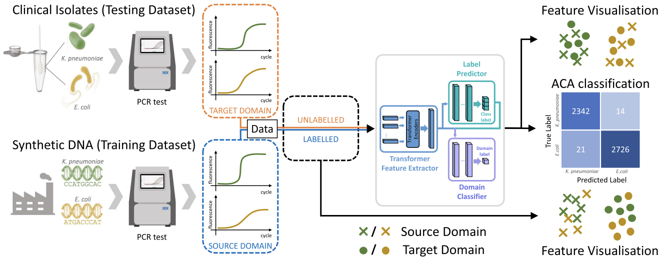 Deep domain adaptation for multiplexing preview
